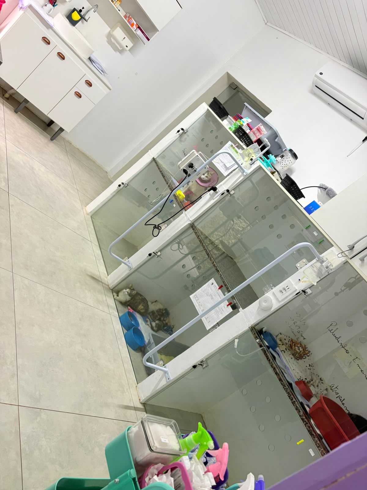 Internação · outro ângulo da Pet Help