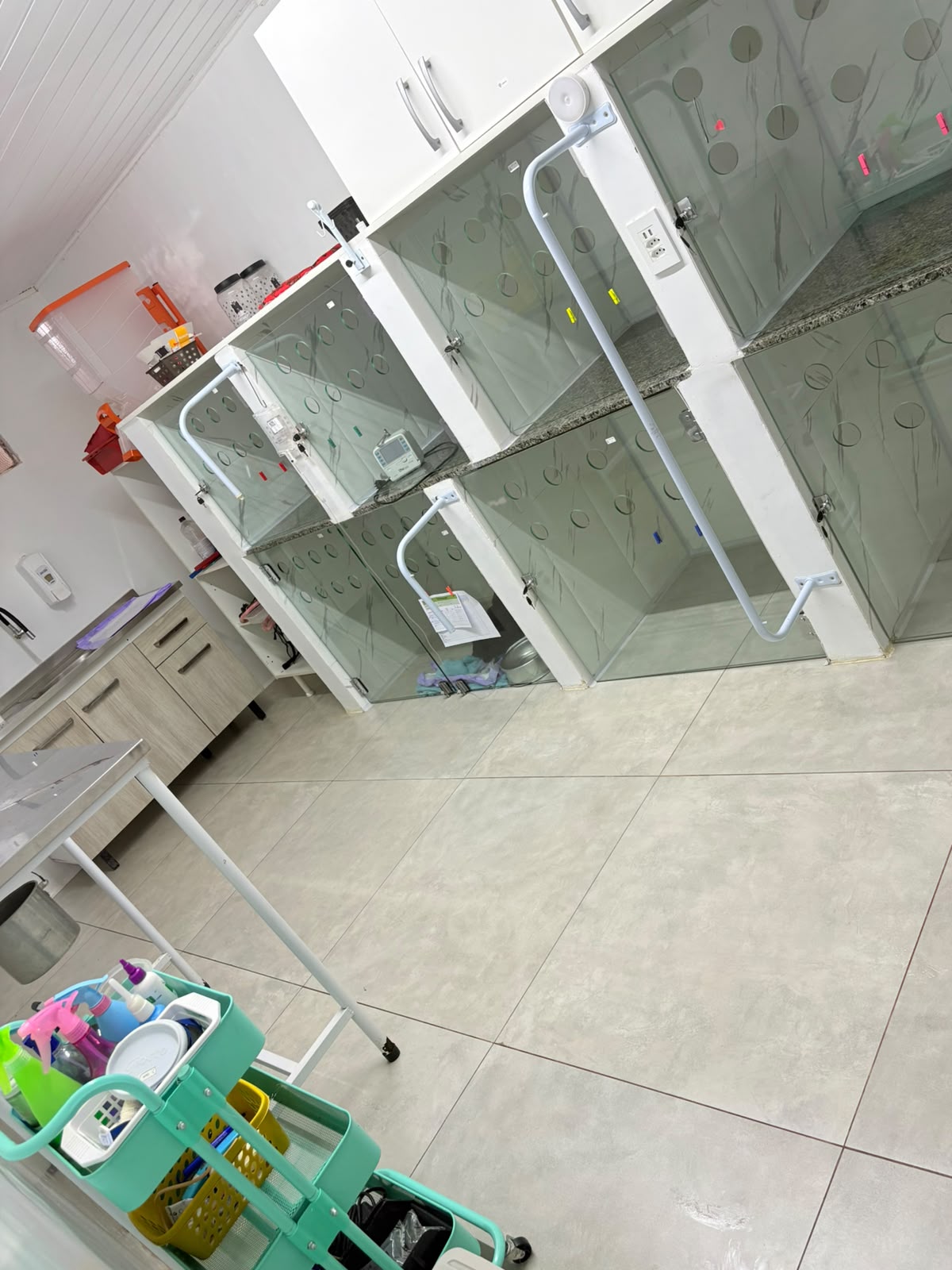 Internação da Pet Help